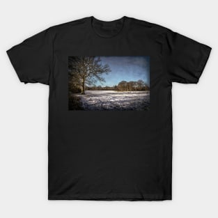 Snowy Tidmarsh Meadows T-Shirt